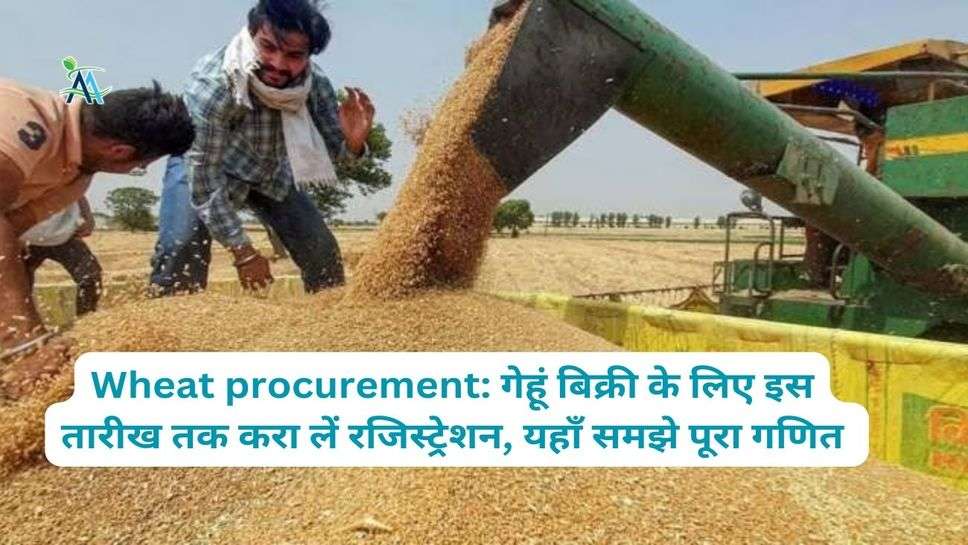 Wheat procurement: गेहूं बिक्री के लिए इस तारीख तक करा लें रजिस्ट्रेशन, यहाँ समझे पूरा गणित
