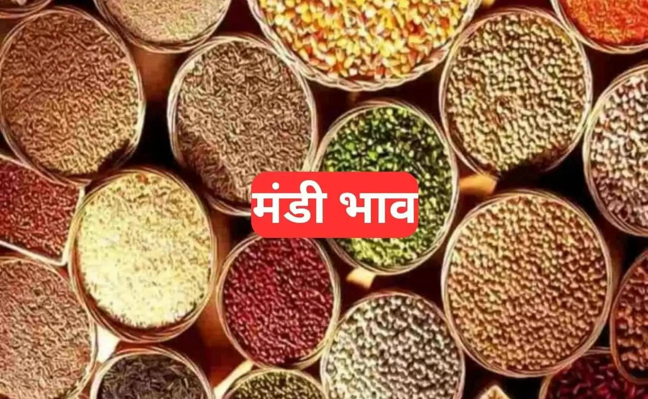 Mandi Bhav : गेहूं, सरसों, नरमा, धान व ग्वार समेत अन्य फसलों के आज के ताजा भाव यहां देखें