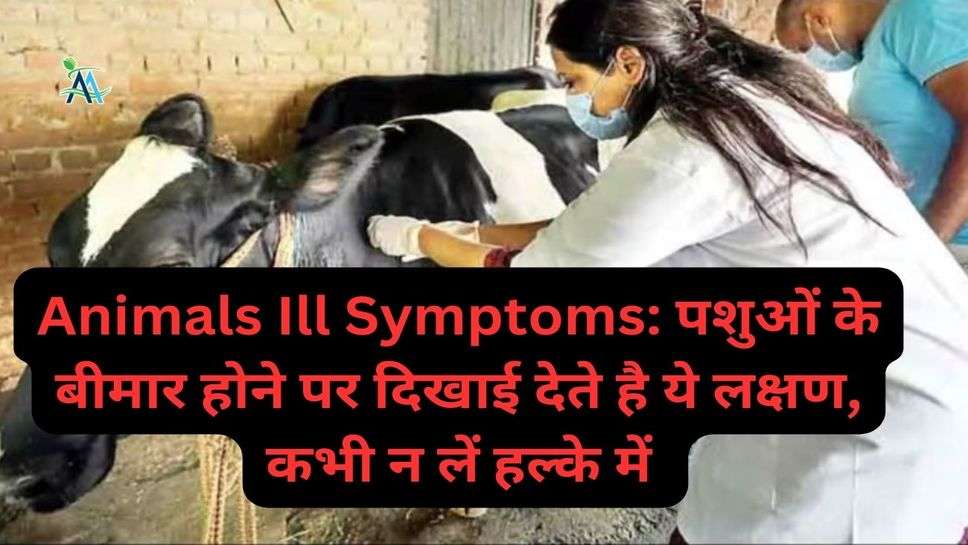 Animals Ill Symptoms: पशुओं के बीमार होने पर दिखाई देते है ये लक्षण, कभी न लें हल्के में