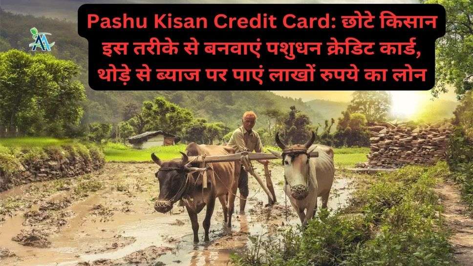 Pashu Kisan Credit Card: छोटे किसान इस तरीके से बनवाएं पशुधन क्रेडिट कार्ड, थोड़े से ब्याज पर पाएं लाखों रुपये का लोन