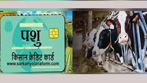 Farmer Credit Card Scheme: हरियाणा में किसान पशुपालकों को 4 प्रतिशत ब्याज पर मिलेगा ऋण, किसानों के लिए खुशखबरी