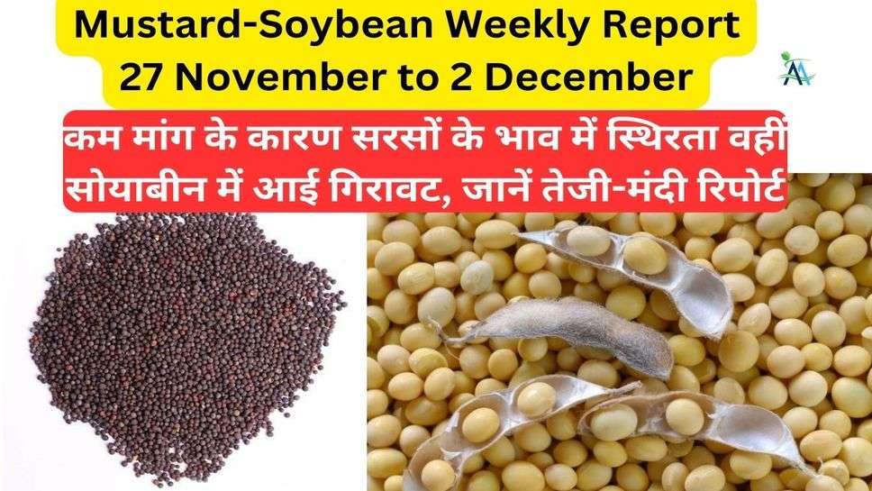 Mustard-Soybean Weekly Report 27 November to 2 December: कम मांग के कारण सरसों के भाव में स्थिरता वहीं सोयाबीन में आई गिरावट, जानें तेजी-मंदी रिपोर्ट