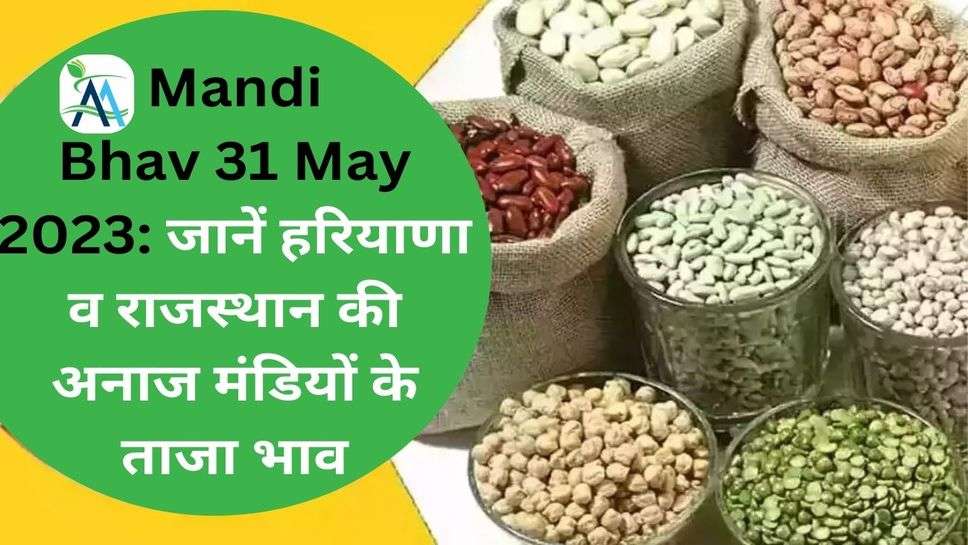 Mandi Bhav 31 May 2023: जानें हरियाणा व राजस्थान की अनाज मंडियों के ताजा भाव