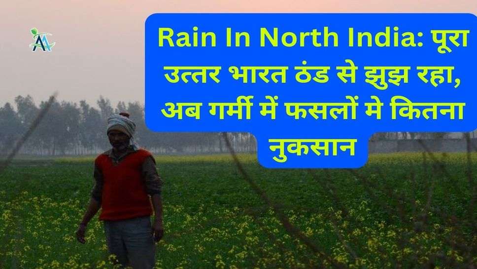 Rain In North India: पूरा उत्‍तर भारत ठंड से झुझ रहा, अब गर्मी में फसलों मे कितना नुकसान
