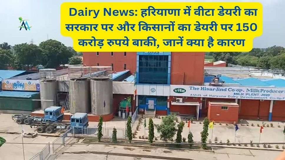 Dairy News: हरियाणा में वीटा डेयरी का सरकार पर और किसानों का डेयरी पर 150 करोड़ रुपये बाकी, जानें क्या है कारण