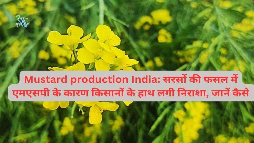 Mustard production India: सरसों की फसल में एमएसपी के कारण किसानों के हाथ लगी निराशा, जानें कैसे
