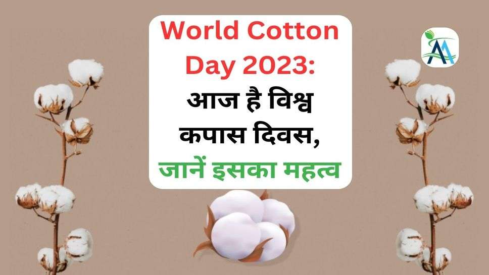 World Cotton Day 2023: आज है विश्व कपास दिवस, जानें इसका महत्व