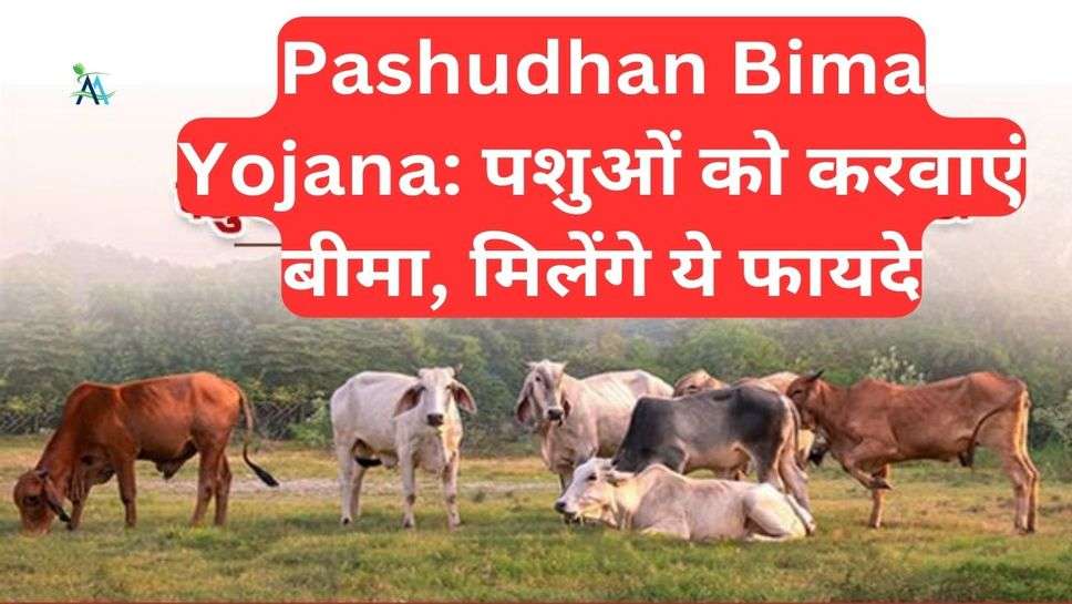Pashudhan Bima Yojana: पशुओं को करवाएं बीमा, मिलेंगे ये फायदे
