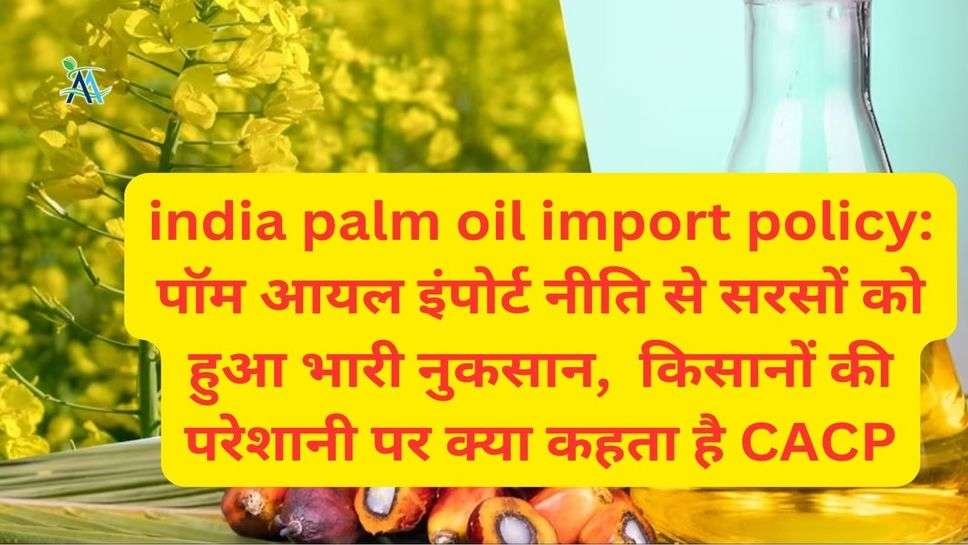 india palm oil import policy: पॉम आयल इंपोर्ट नीति से सरसों को हुआ भारी नुकसान,  किसानों की परेशानी पर क्या कहता है CACP