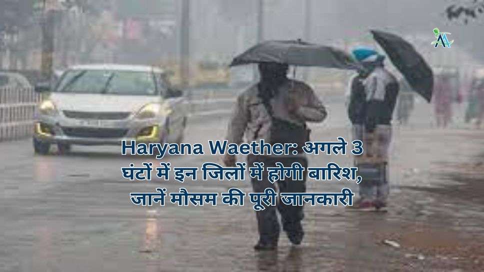 Haryana Waether: अगले 3 घंटों में इन जिलों में होगी बारिश, जानें मौसम की पूरी जानकारी