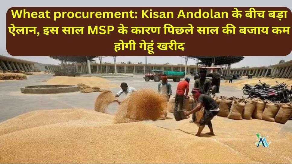 Wheat procurement: Kisan Andolan के बीच बड़ा ऐलान, इस साल MSP के कारण पिछले साल की बजाय कम होगी गेहूं खरीद