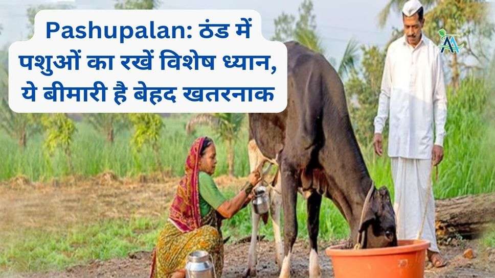 Pashupalan: ठंड में पशुओं का रखें विशेष ध्यान, ये बीमारी है बेहद खतरनाक