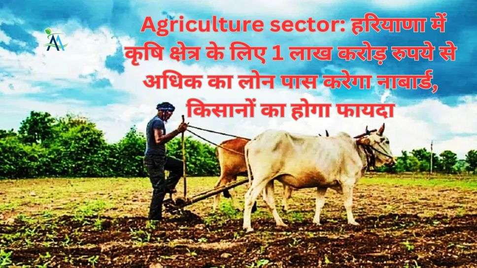 Agriculture sector: हरियाणा में कृषि क्षेत्र के लिए 1 लाख करोड़ रुपये से अधिक का लोन पास करेगा नाबार्ड, किसानों का होगा फायदा