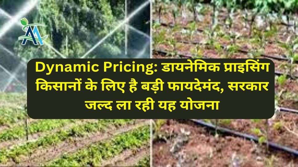 Dynamic Pricing: डायनेमिक प्राइसिंग किसानों के लिए है बड़ी फायदेमंद, सरकार जल्द ला रही यह योजना