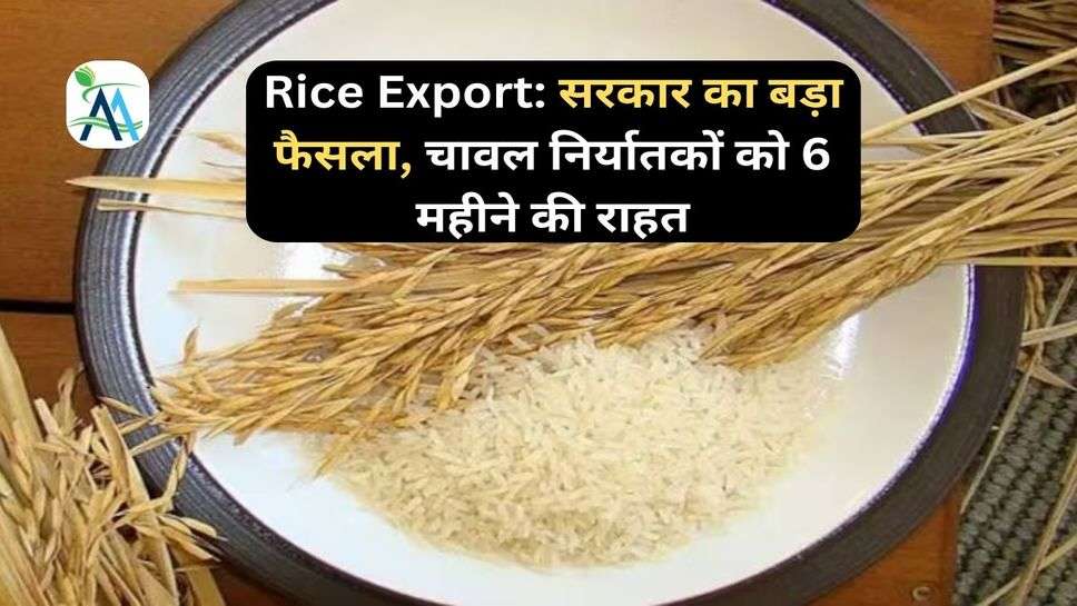 Rice Export: सरकार का बड़ा फैसला, चावल निर्यातकों को 6 महीने की राहत