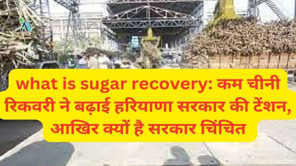 what is sugar recovery: कम चीनी र‍िकवरी ने बढ़ाई हर‍ियाणा सरकार की टेंशन, आख‍िर क्यों है सरकार चिंचित