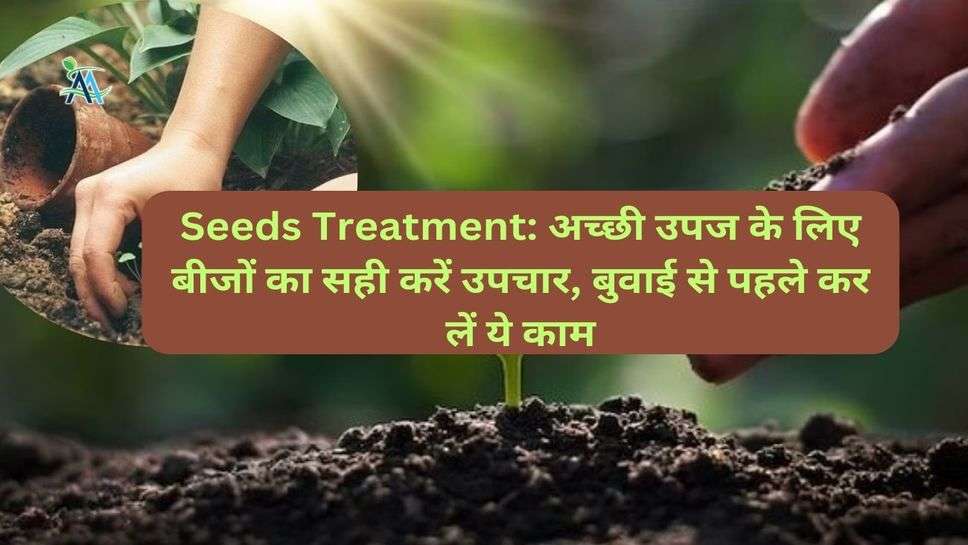 Seeds Treatment: अच्छी उपज के लिए बीजों का सही करें उपचार, बुवाई से पहले कर लें ये काम