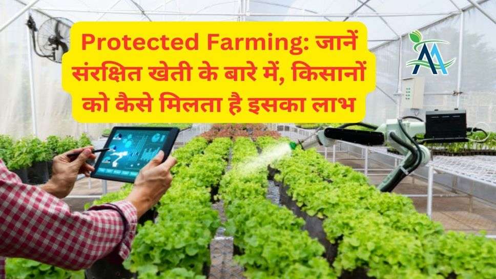 Protected Farming: जानें संरक्षित खेती के बारे में, किसानों को कैसे मिलता है इसका लाभ