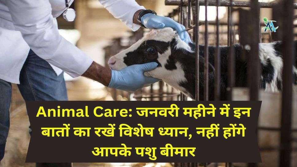 Animal Care: जनवरी महीने में इन बातों का रखें विशेष ध्यान, नहीं होंगे आपके पशु बीमार