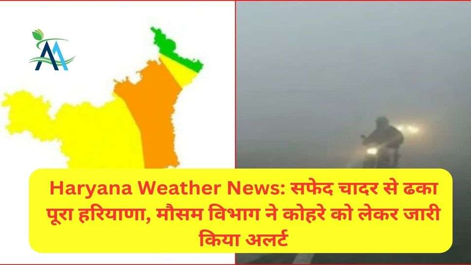 Haryana Weather News: सफेद चादर से ढका पूरा हरियाणा, मौसम विभाग ने कोहरे को लेकर जारी किया अलर्ट
