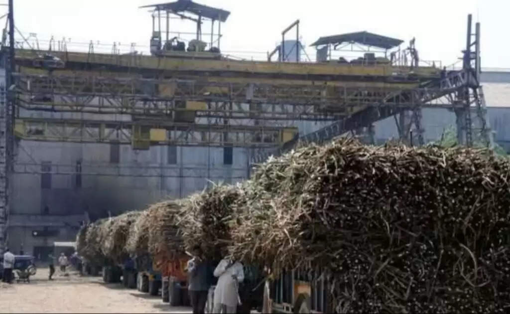 Haryana News: हरियाणा मे चीनी मिल बंद होने से गन्ने की खरीद ठप, किसानों ने दिया धरना