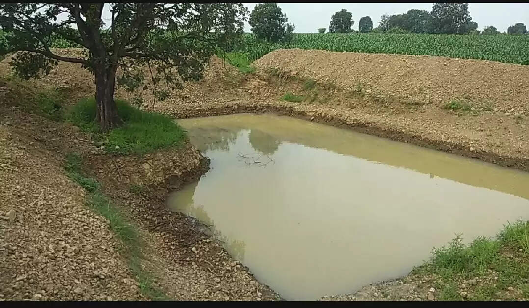 farm pond scheme: खेतों में तालाब बनाने के लिए मिल रही भारी सब्सिडी, जानें शर्तें और आवेदन का सही तरीका