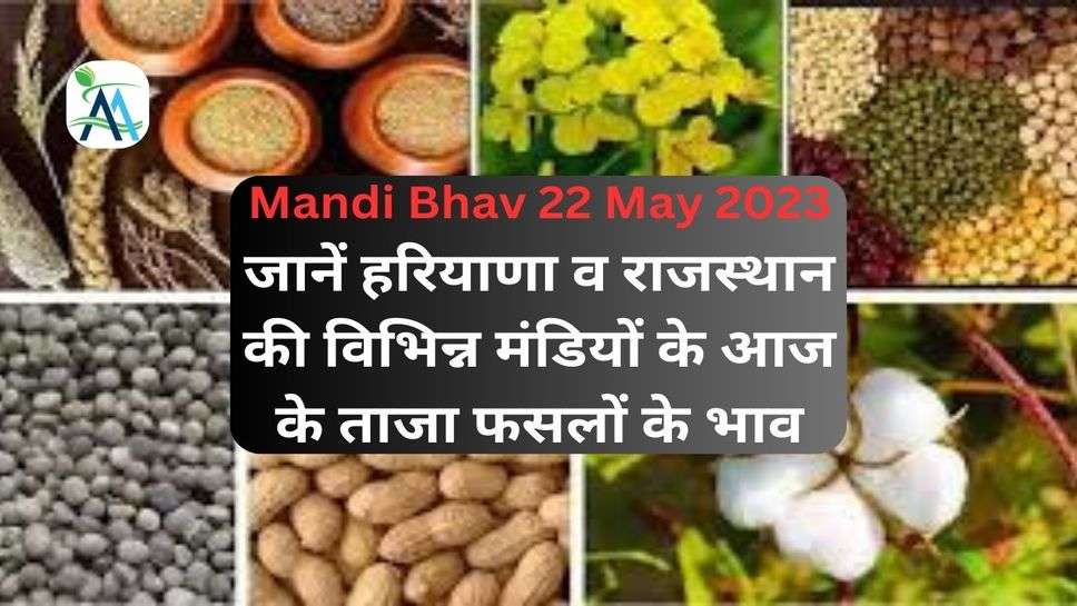 Mandi Bhav 22 May 2023: जानें हरियाणा व राजस्थान की विभिन्न मंडियों के ताजा भाव