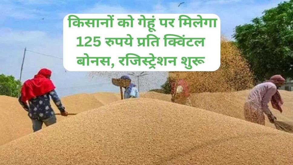 Bonus on Wheat: किसानों को गेहूं पर मिलेगा 125 रुपये प्रति क्विंटल बोनस, रजिस्ट्रेशन शुरू