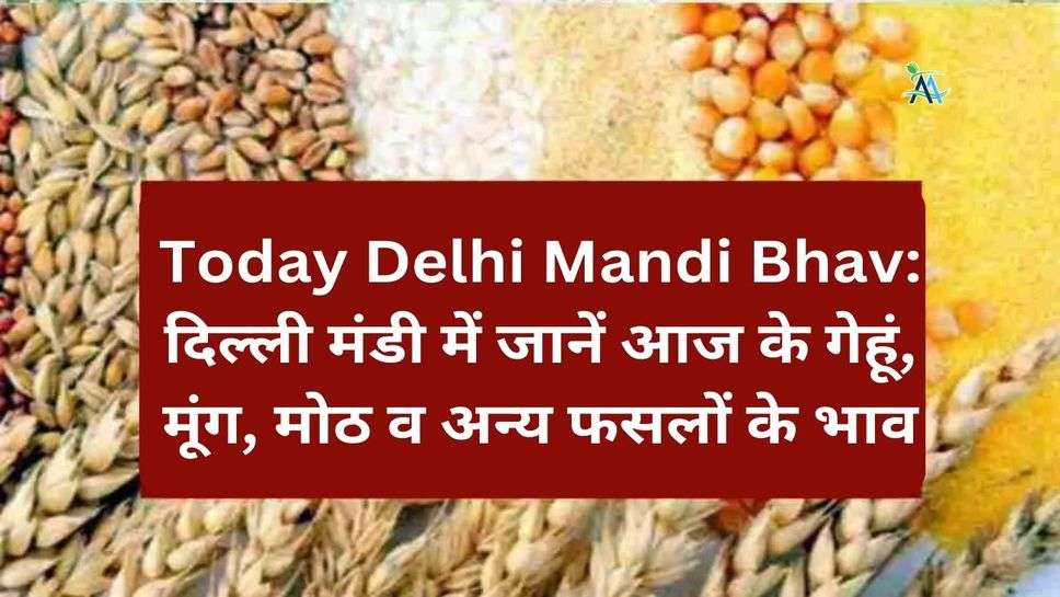 Today Delhi Mandi Bhav: दिल्ली मंडी में जानें आज के गेहूं, मूंग, मोठ व अन्य फसलों के भाव
