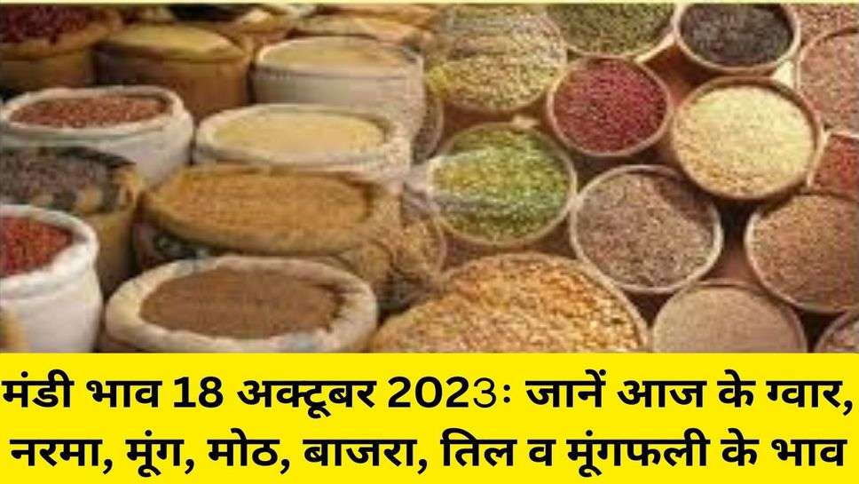 मंडी भाव 18 अक्टूबर 2023ः जानें आज के ग्वार, नरमा, मूंग, मोठ, बाजरा, तिल व मूंगफली के भाव