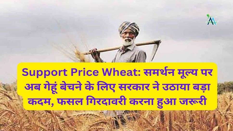 Support Price Wheat: समर्थन मूल्य पर अब गेहूं बेचने के लिए सरकार ने उठाया बड़ा कदम, फसल गिरदावरी करना हुआ जरूरी
