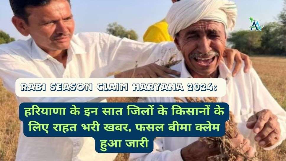 Rabi Season Claim Haryana 2024: हरियाणा के इन सात जिलों के किसानों के लिए राहत भरी खबर, फसल बीमा क्लेम हुआ जारी