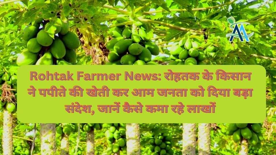 Rohtak Farmer News: रोहतक के किसान ने पपीते की खेती कर आम जनता को दिया बड़ा संदेश, जानें कैसे कमा रहे लाखों
