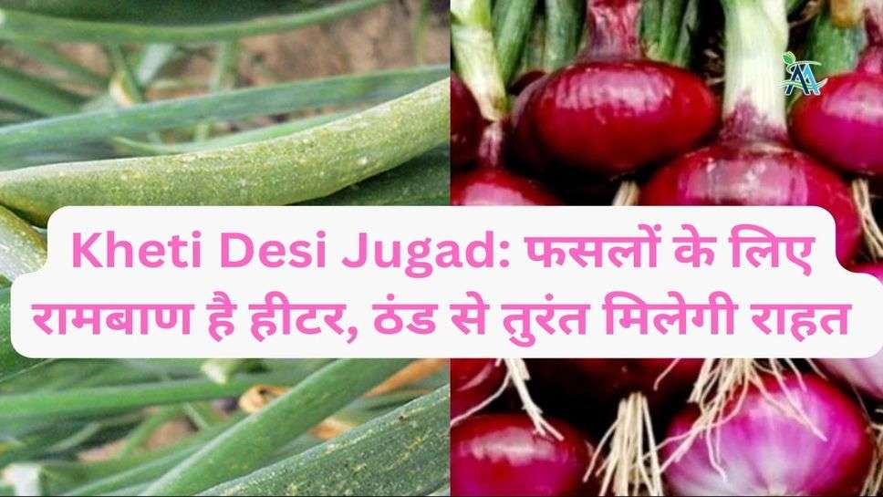 Kheti Desi Jugad: फसलों के लिए रामबाण है हीटर, ठंड से तुरंत मिलेगी राहत
