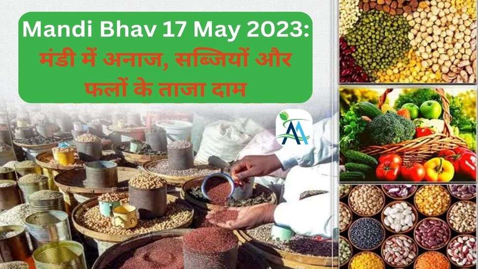 Mandi Bhav 17 May 2023: मंडी में अनाज, सब्जियों और फलों के ताजा दाम