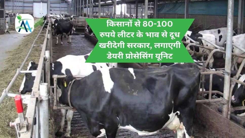 किसानों से 80-100 रुपये लीटर के भाव से दूध खरीदेगी सरकार, लगाएगी डेयरी प्रोसेसिंग यूनिट