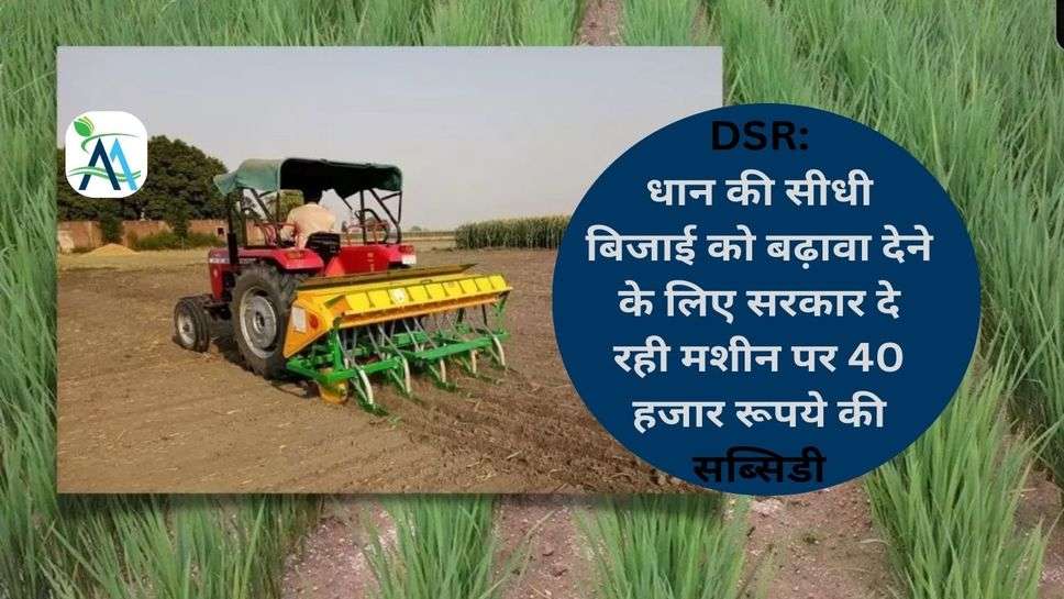DSR: धान की सीधी बिजाई को बढ़ावा देने के लिए सरकार दे रही मशीन पर 40 हजार रूपये की सब्सिडी