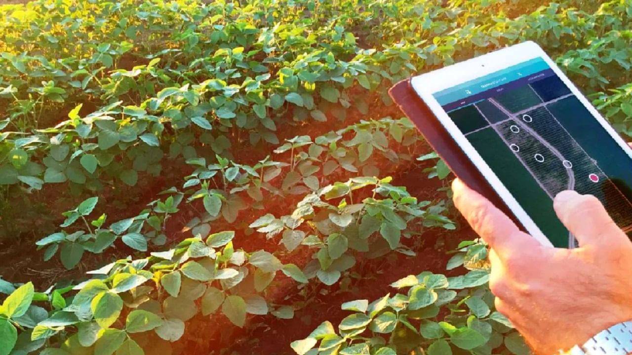 Smartphone Technology farming: जानें स्मार्टफोन तकनीक खेती में कैसे है मददगार, और किसानों को कितना फायदा