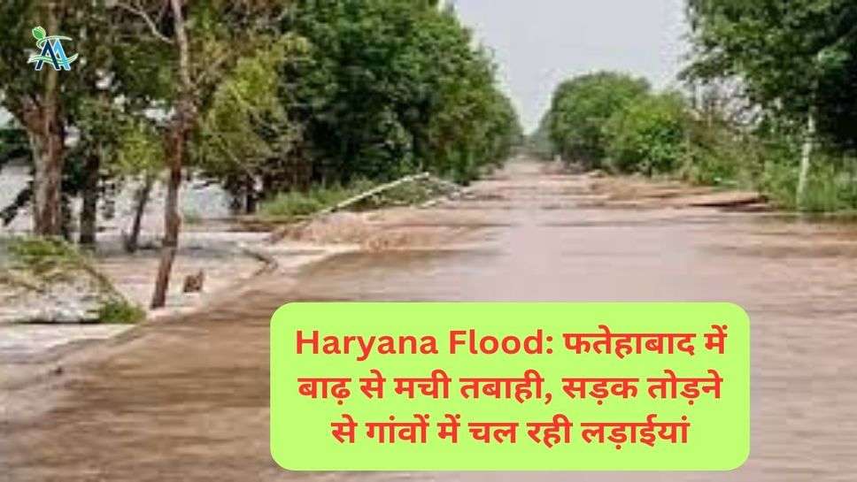 Haryana Flood: फतेहाबाद में बाढ़ से मची तबाही, सड़क तोड़ने से गांवों में चल रही लड़ाईयां
