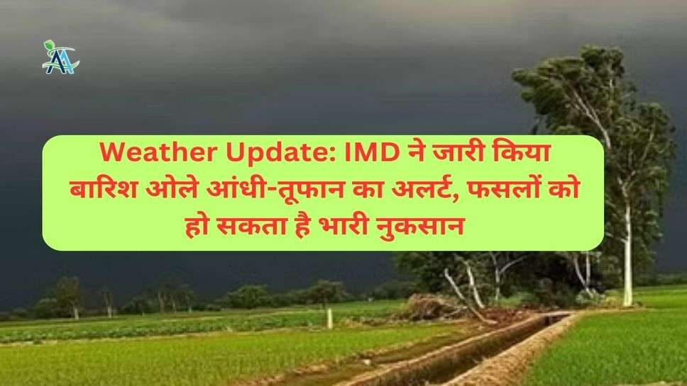 Weather Update: IMD ने जारी किया बारिश ओले आंधी-तूफान का अलर्ट, फसलों को हो सकता है भारी नुकसान