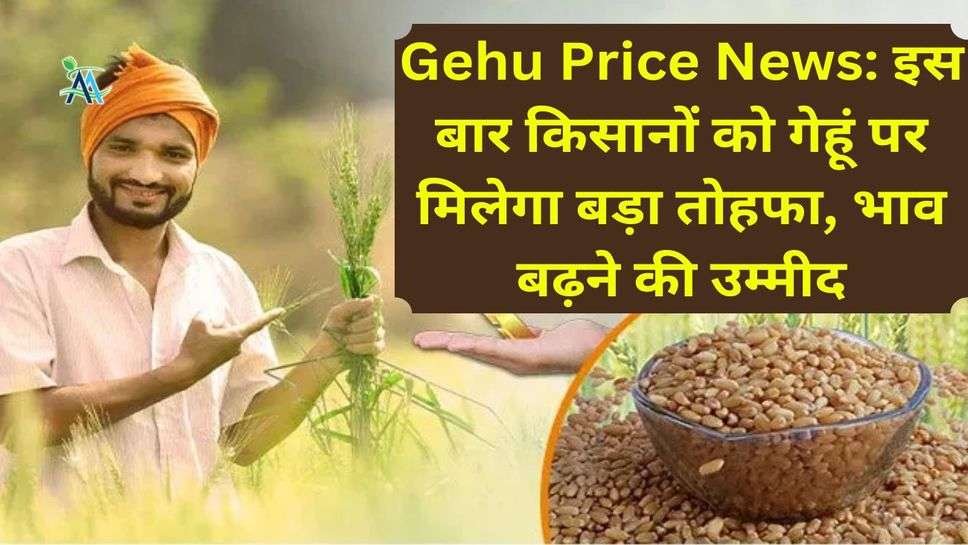 Gehu Price News: इस बार किसानों को गेहूं पर मिलेगा बड़ा तोहफा, भाव बढ़ने की उम्मीद