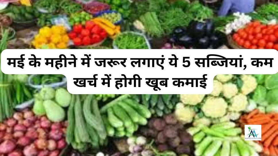 मई के महीने में जरूर लगाएं ये 5 सब्जियां, कम खर्च में होगी खूब कमाई
