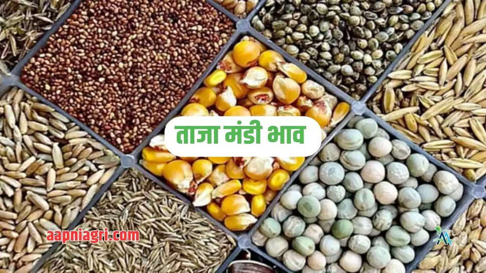 Mandi Bhav Aapni Agri