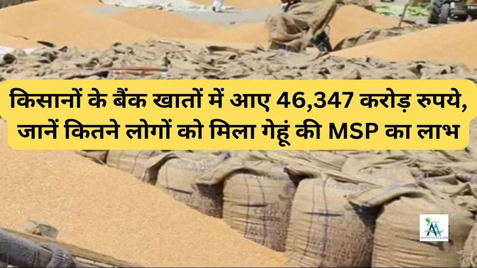 किसानों के बैंक खातों में आए 46,347 करोड़ रुपये, जानें कितने लोगों को मिला गेहूं की MSP का लाभ