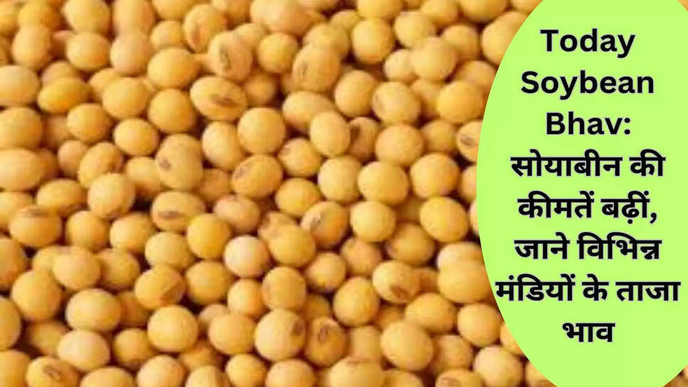 Today Soybean Bhav: सोयाबीन की कीमतें बढ़ीं, जाने विभिन्न मंडियों के ताजा भाव