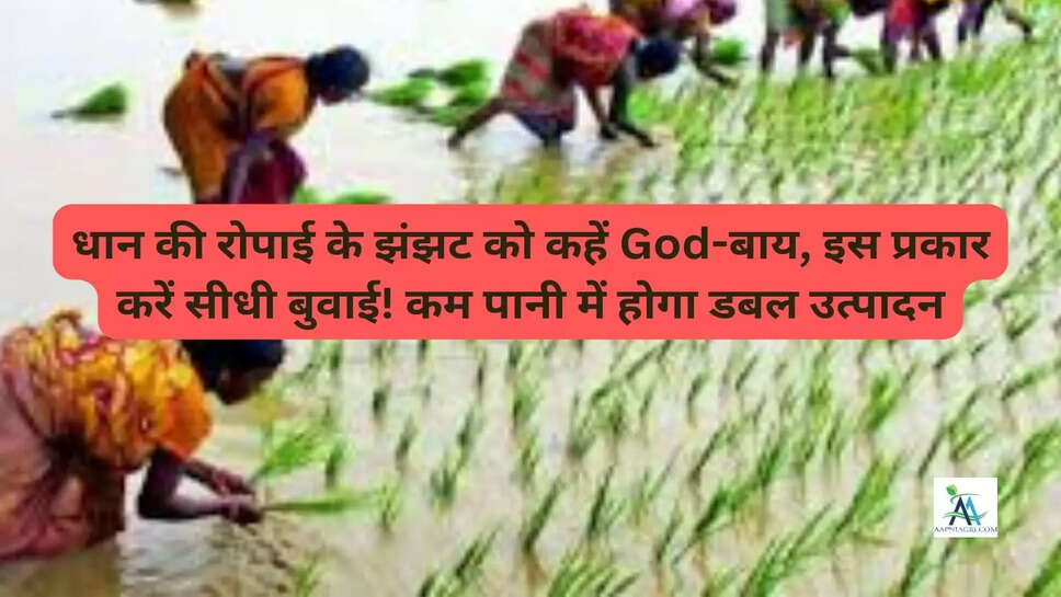 धान की रोपाई के झंझट को कहें God-बाय, इस प्रकार करें सीधी बुवाई! कम पानी में होगा डबल उत्पादन