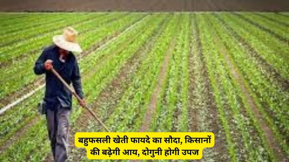 बहुफसली खेती फायदे का सौदा, किसानों की बढ़ेगी आय, दोगुनी होगी उपज