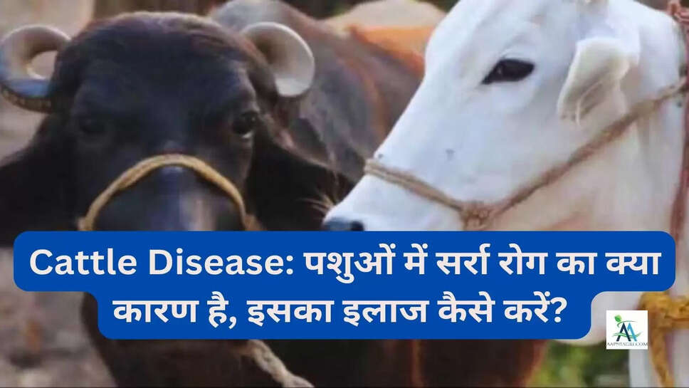 Cattle Disease: पशुओं में सर्रा रोग का क्या कारण है, इसका इलाज कैसे करें? 