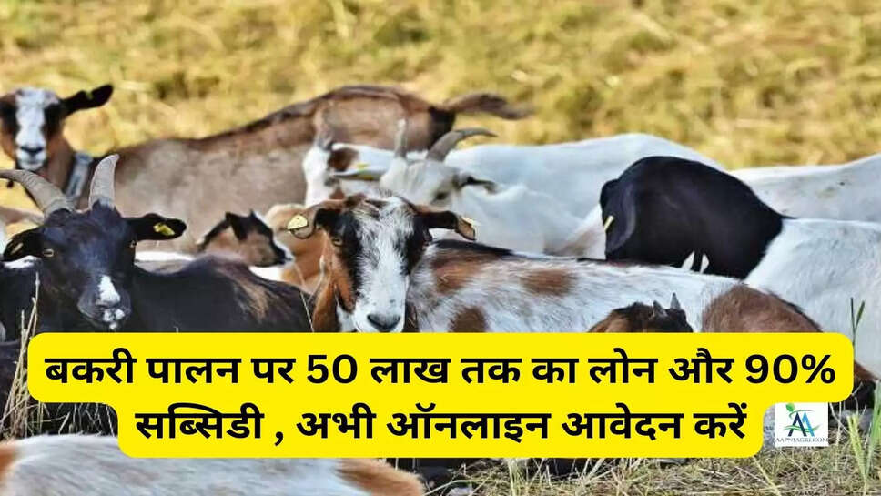 बकरी पालन पर 50 लाख तक का लोन और 90% सब्सिडी , अभी ऑनलाइन आवेदन करें