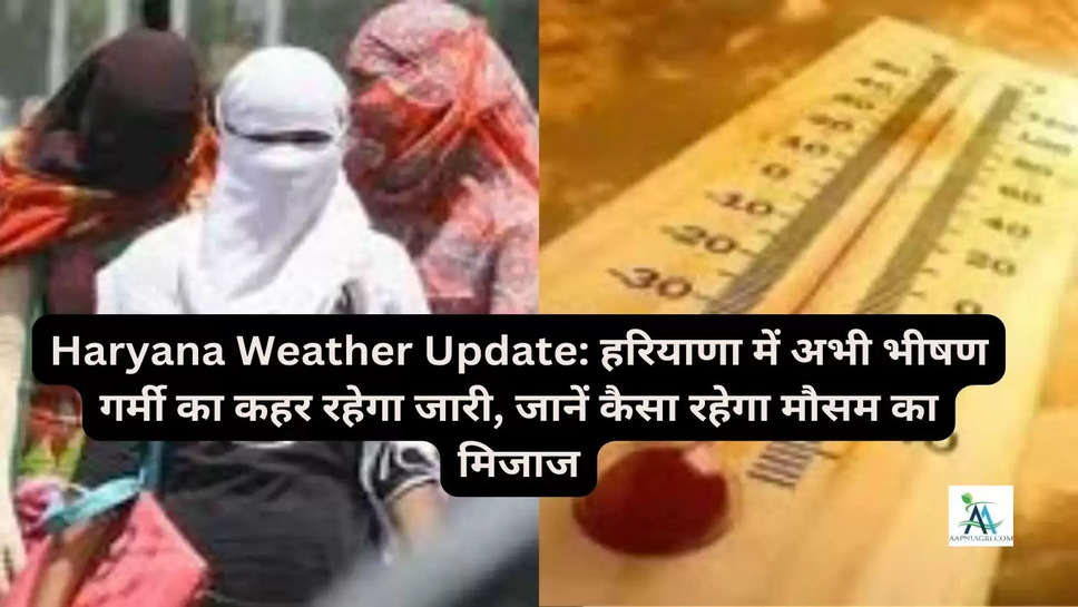 Haryana Weather Update: हरियाणा में अभी भीषण गर्मी का कहर रहेगा जारी, जानें कैसा रहेगा मौसम का मिजाज